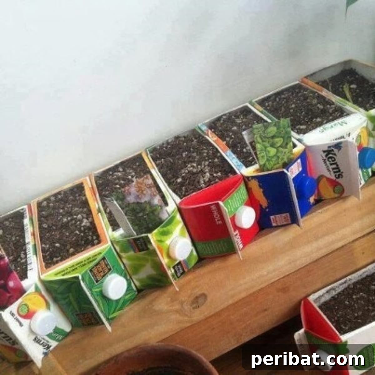 20 Creative Upcycled Seed Starter Pots to Make at Home 6 Upcycled Juice Carton Seed Pods for Seedlings
