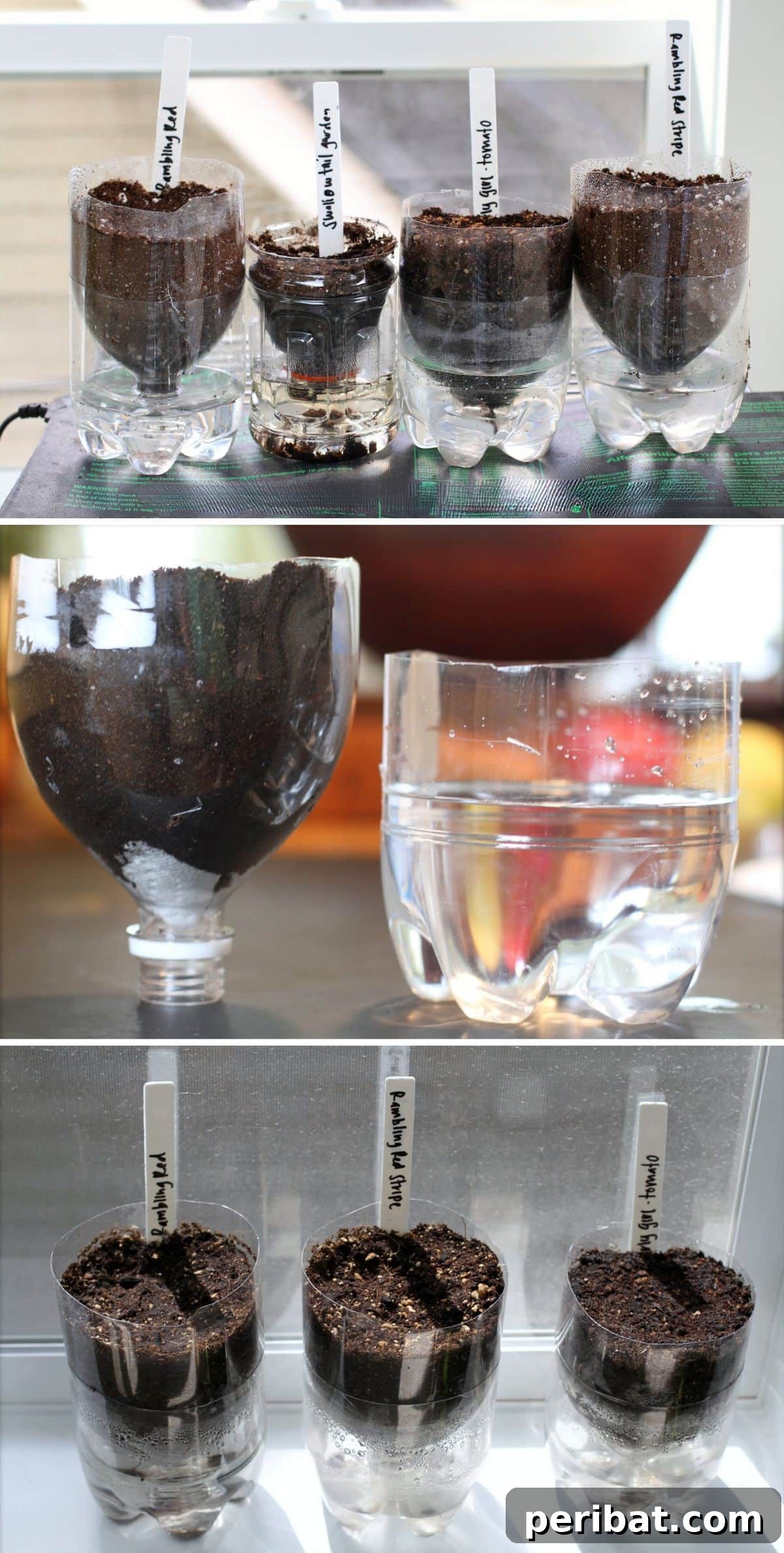 20 Creative Upcycled Seed Starter Pots to Make at Home 9 DIY Self-Watering Seed Starter from Plastic Bottles