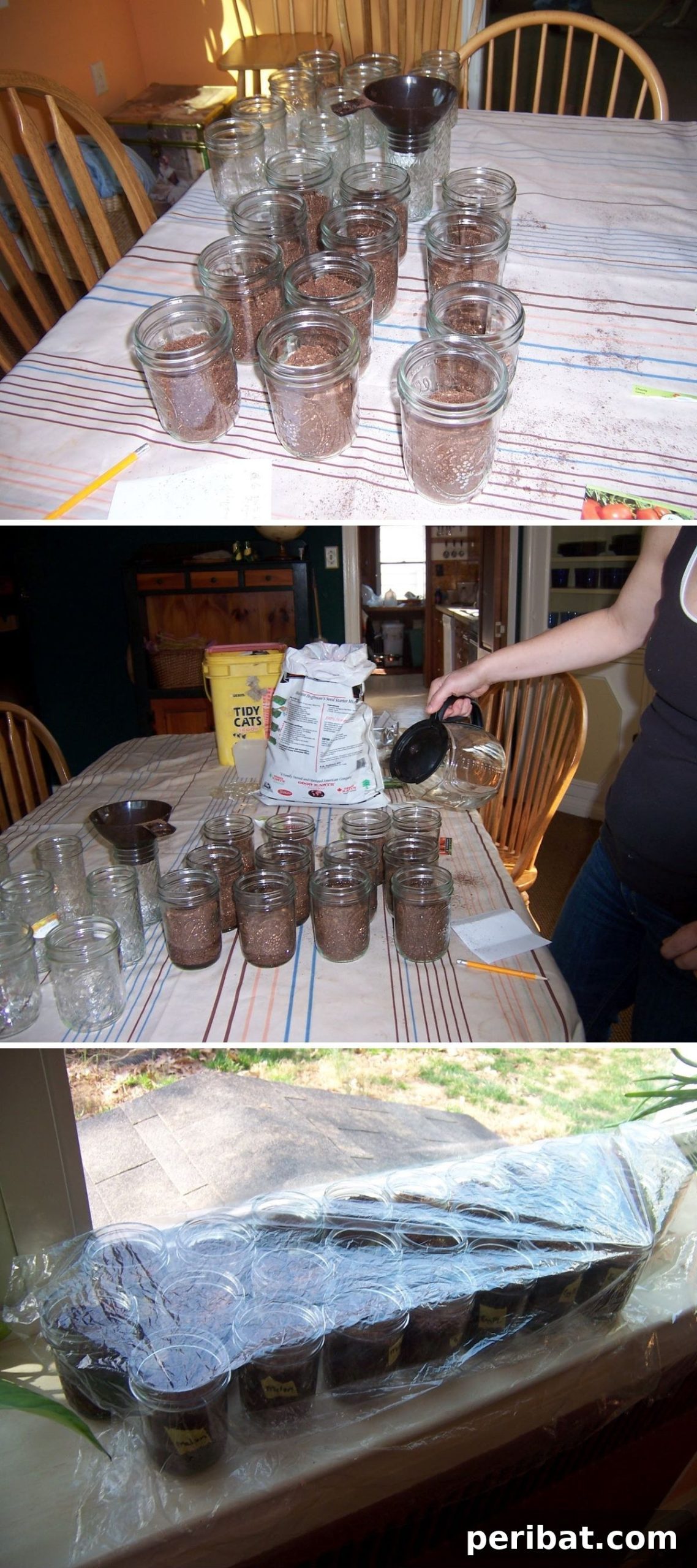 20 Creative Upcycled Seed Starter Pots to Make at Home 10 Repurposed Mason Jars for Seed Starting