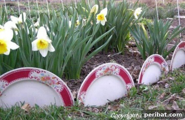 Unlock Creativity: Transform Forgotten Kitchen Tools into Stunning Decor 21 Upcycled Garden Decorative Plates