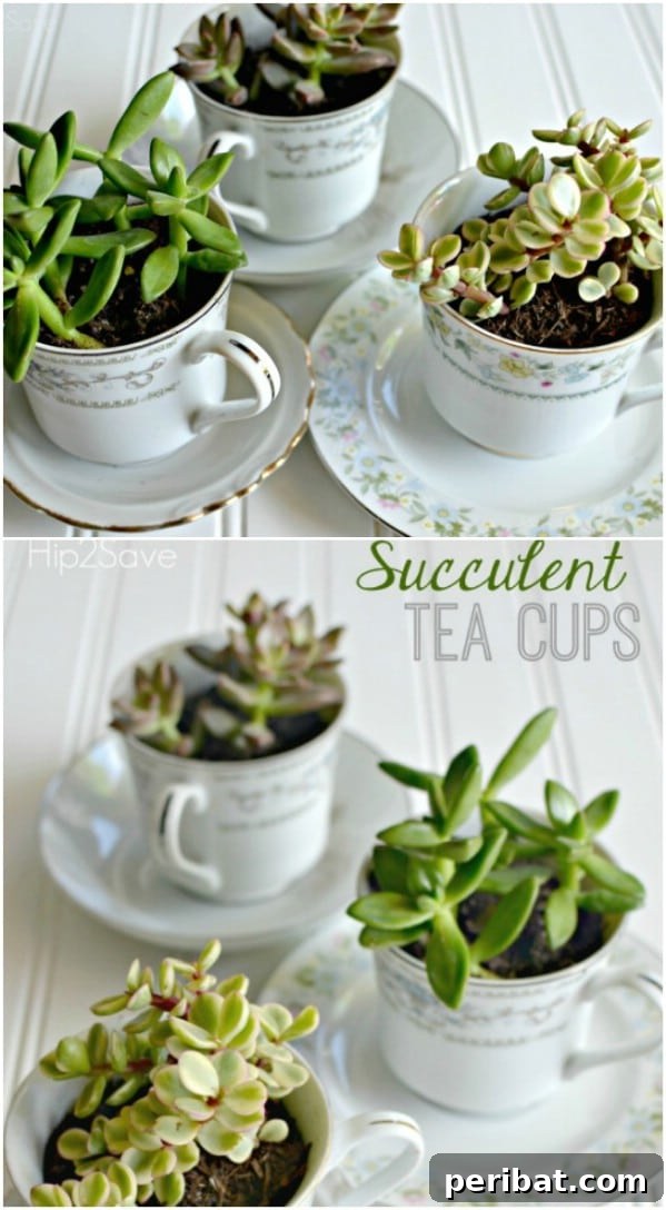 Unlock Creativity: Transform Forgotten Kitchen Tools into Stunning Decor 32 Easy DIY Succulent Teacups