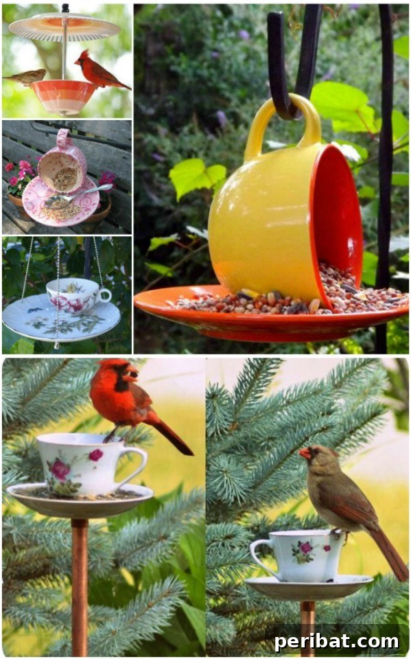 Unlock Creativity: Transform Forgotten Kitchen Tools into Stunning Decor 38 Repurposed Teacup Bird Feeder