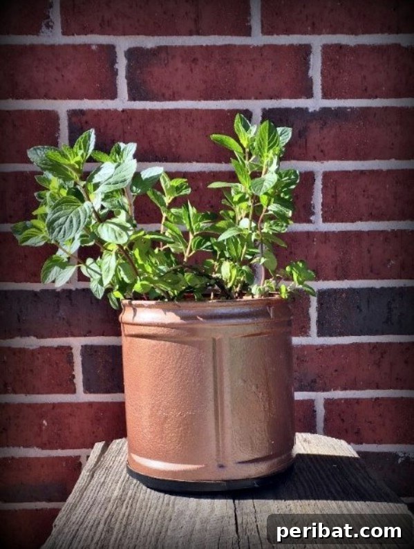 Brewing Up New Uses For Empty Coffee Containers 16 Upcycled Coffee Can Planter