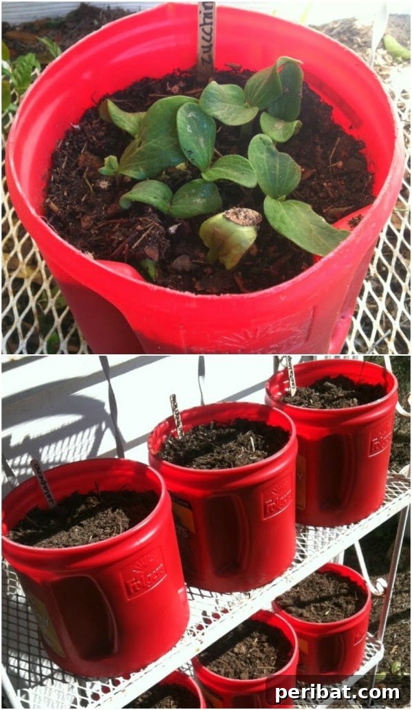 Brewing Up New Uses For Empty Coffee Containers 22 Frugal Coffee Canister Seed Starters