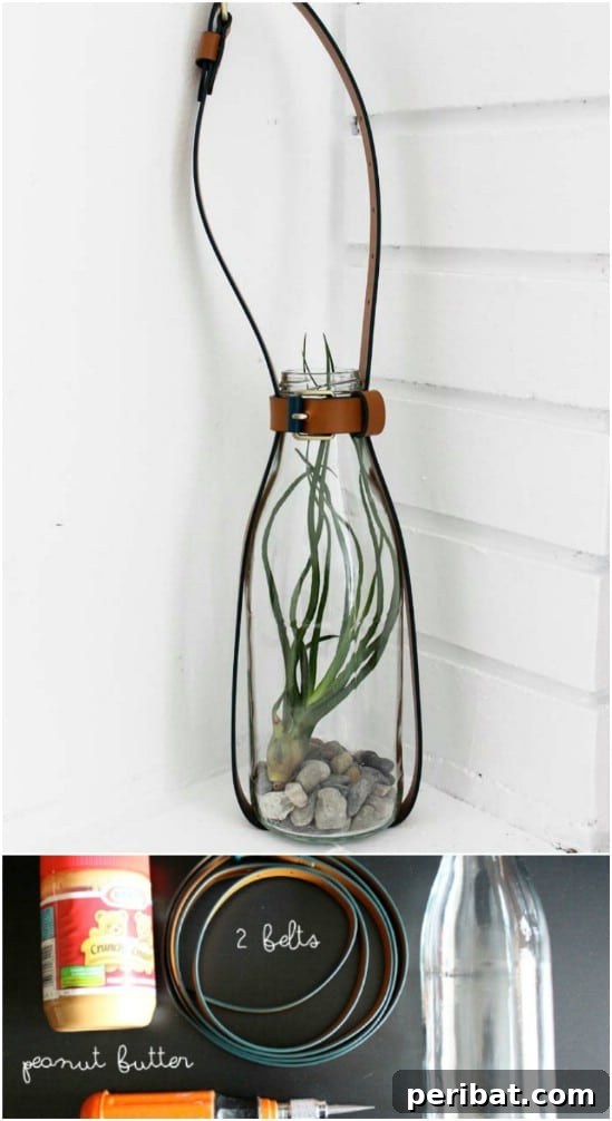 Transform Your Old Leather Belts: 25 Amazing Upcycling Ideas 10 DIY Hanging Terrarium