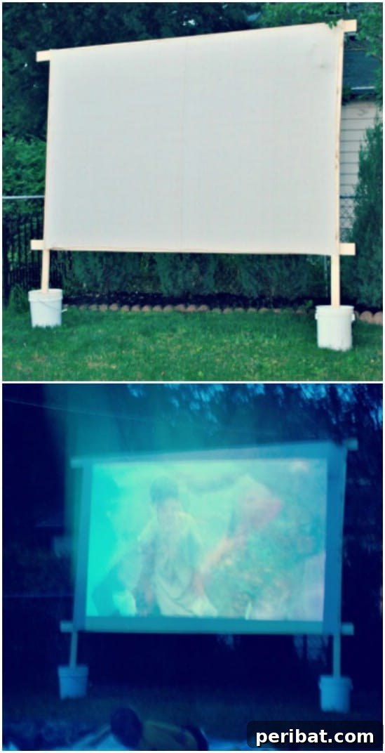 Outdoor Movie Screen