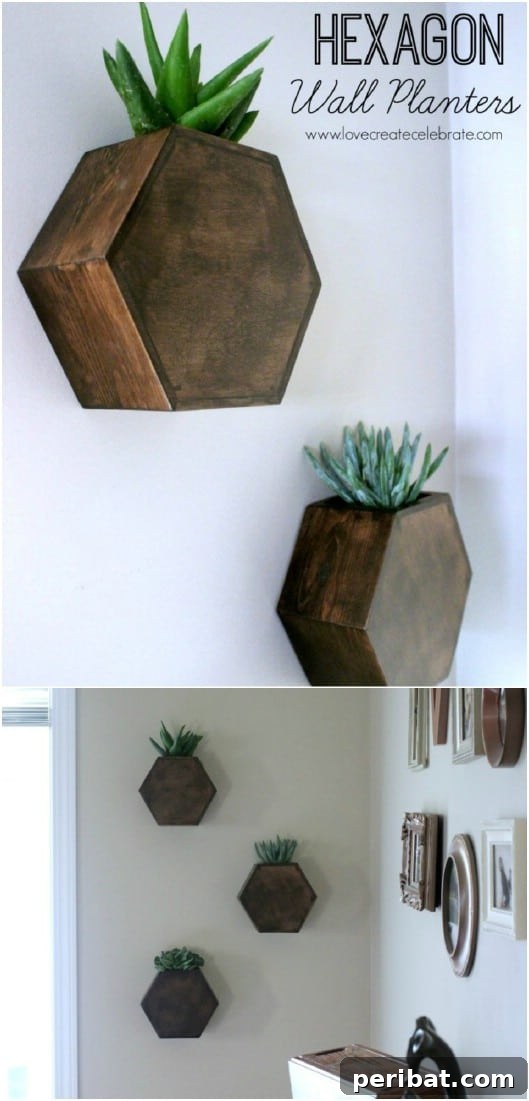 DIY Hexagon Wall Planters