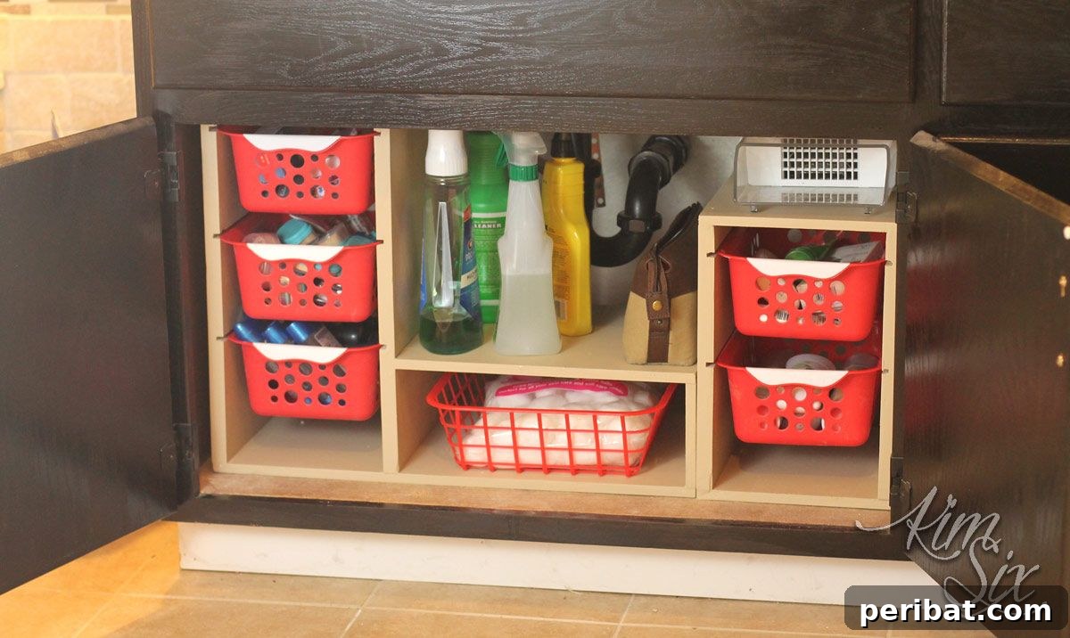 Under Sink Cabinet Organizer with Pull Out Baskets for easy access