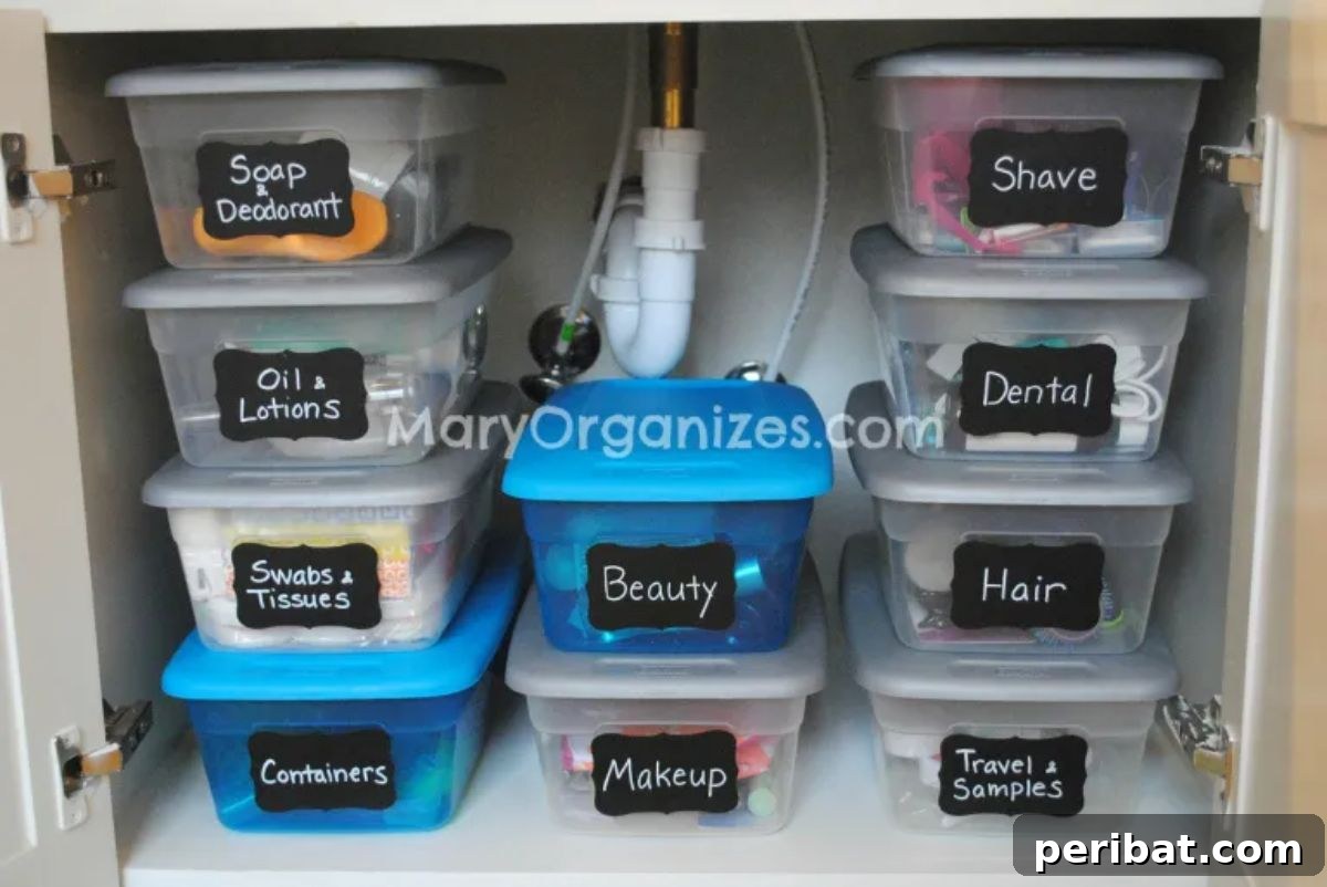 Master Bathroom Under Sink Storage Organization with labels