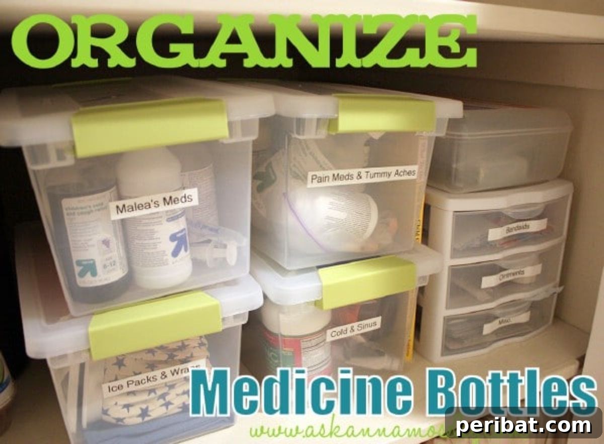 Organized Medicine Cabinet with labeled containers