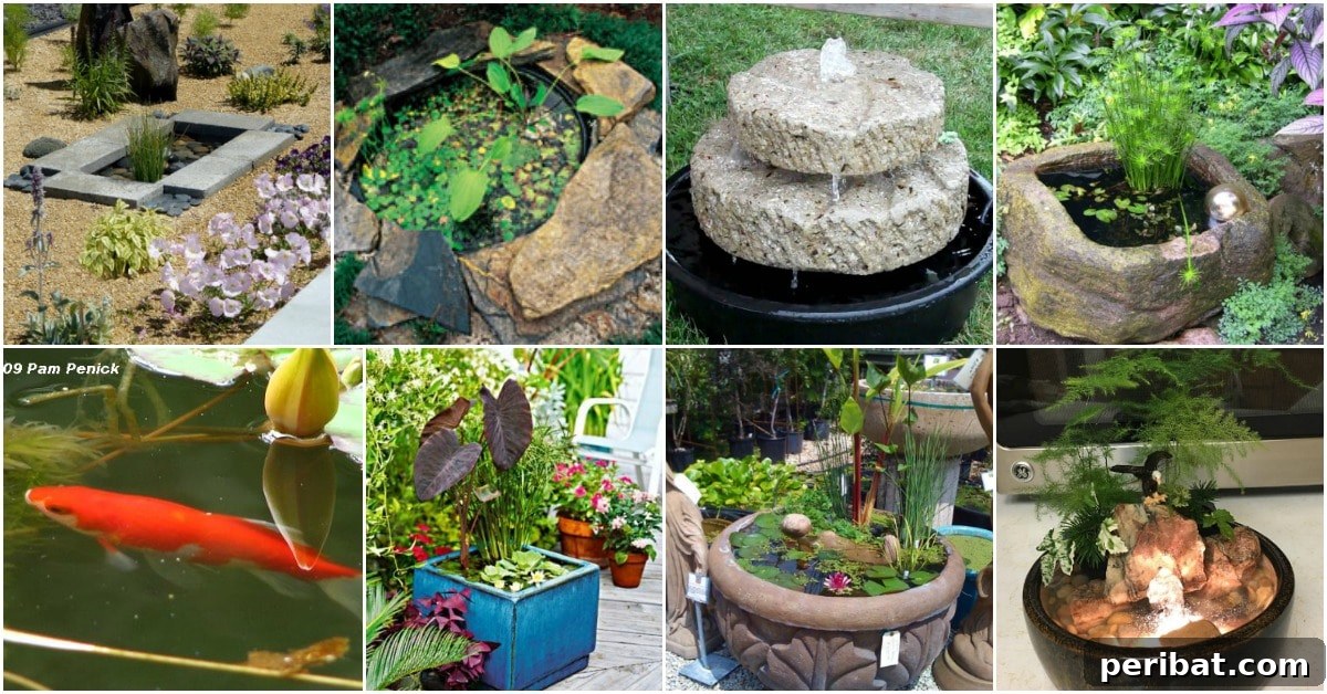 Delightful & Affordable Mini Water Gardens for Every Home 2 Serene water garden featuring lush aquatic plants and a gentle ripple, enhancing outdoor aesthetic appeal.
