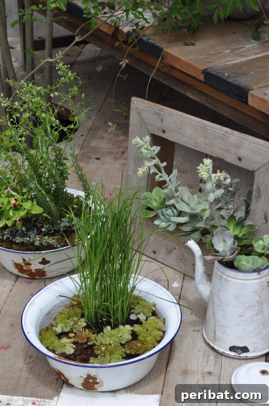 Delightful & Affordable Mini Water Gardens for Every Home 13 Collection of repurposed enamelware basins serving as quaint mini water gardens, each holding a single aquatic plant.