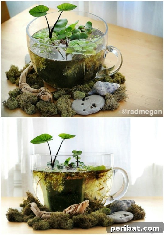 Delightful & Affordable Mini Water Gardens for Every Home 14 DIY indoor mini water garden in a glass mug, featuring a small aquatic plant in its growing container with pebbles.