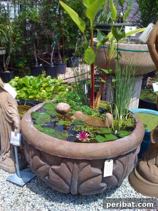 Delightful & Affordable Mini Water Gardens for Every Home 16 Large cement planter repurposed as a robust water garden, featuring a variety of water plants for a deck or patio.