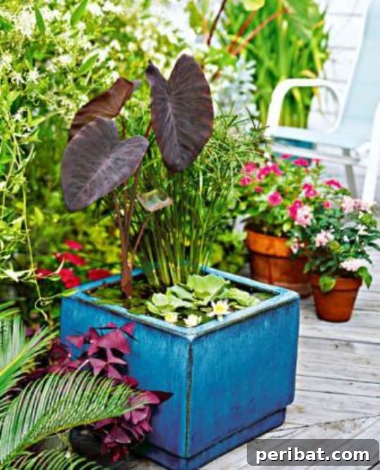 Delightful & Affordable Mini Water Gardens for Every Home 18 Modern square planter repurposed as a water garden, filled with aquatic plants, perfect for contemporary spaces.
