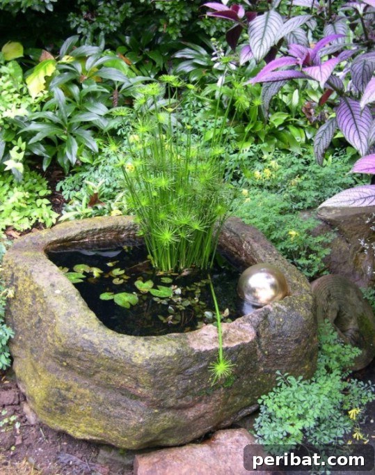 Delightful & Affordable Mini Water Gardens for Every Home 21 Unique DIY water garden crafted within a hollowed-out natural rock, featuring small aquatic plants and smooth stones.