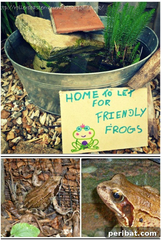Delightful & Affordable Mini Water Gardens for Every Home 22 Mini wildlife pond nestled in the ground, attracting local fauna with diverse aquatic plants and natural rocks.