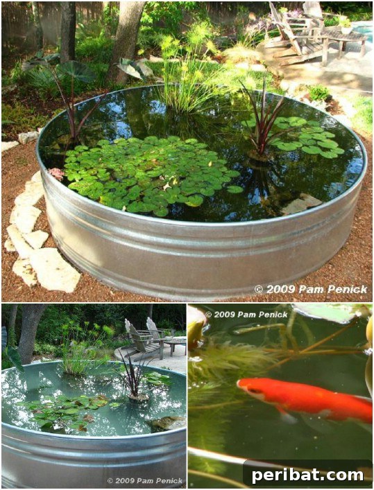 Delightful & Affordable Mini Water Gardens for Every Home 5 Large galvanized stock tank transformed into a raised mini yard pond, featuring aquatic plants and a natural border.