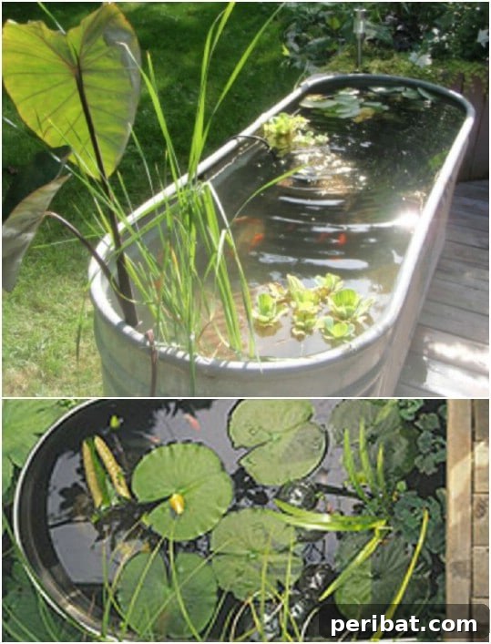 Delightful & Affordable Mini Water Gardens for Every Home 6 Vintage galvanized bathtub repurposed as a quaint mini pond, filled with water and various aquatic flora.