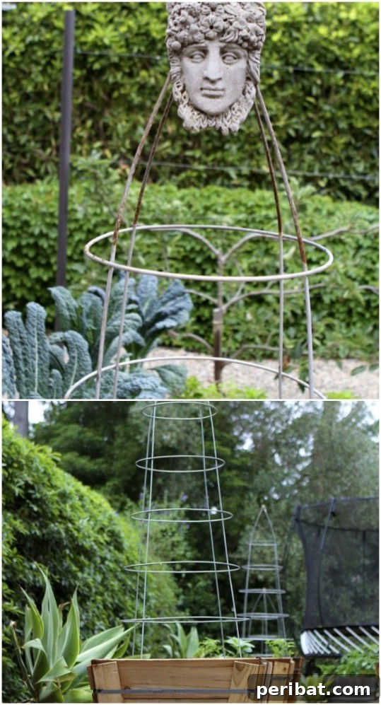 Creative DIY Trellises to Enhance Your Garden's Beauty and Support 13 Updated Aluminum Cage Trellis
