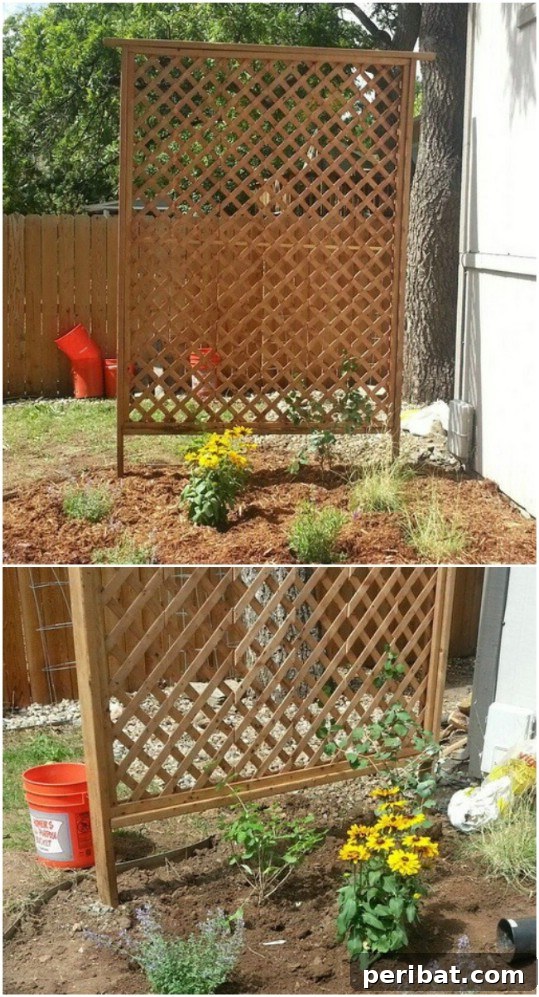Creative DIY Trellises to Enhance Your Garden's Beauty and Support 14 Simple Cedar Garden Trellis