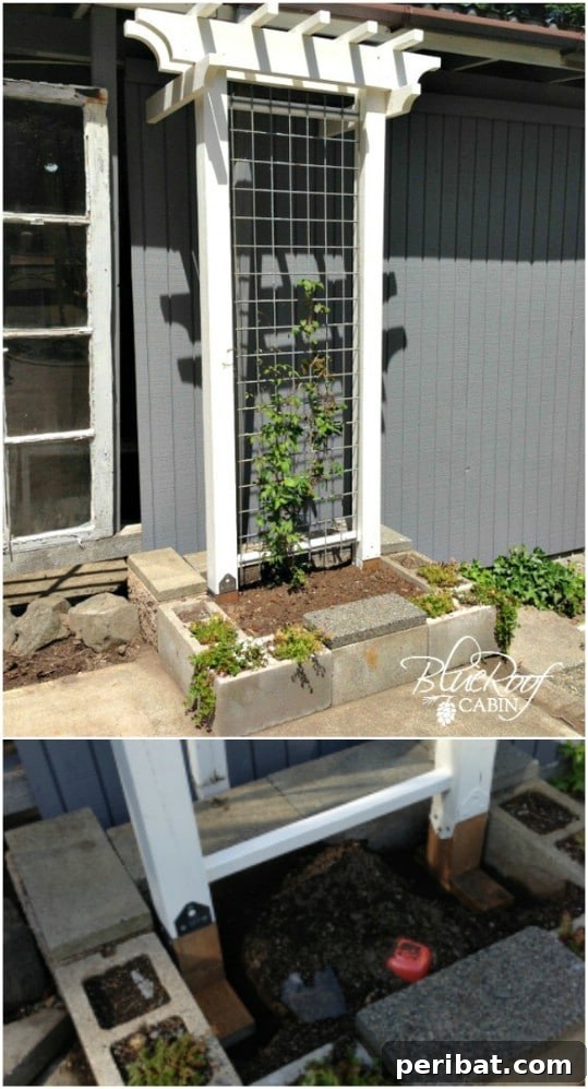 Creative DIY Trellises to Enhance Your Garden's Beauty and Support 15 DIY Elegant Garden Trellis