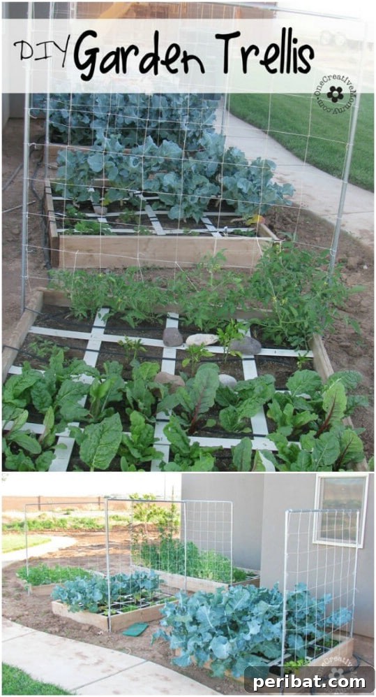 Creative DIY Trellises to Enhance Your Garden's Beauty and Support 16 Easy DIY Squash And Melon Trellis