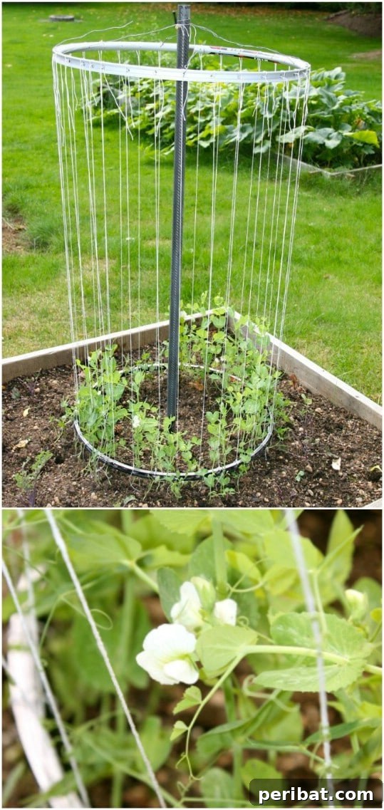 Creative DIY Trellises to Enhance Your Garden's Beauty and Support 19 Easy DIY Bike Rim Trellis
