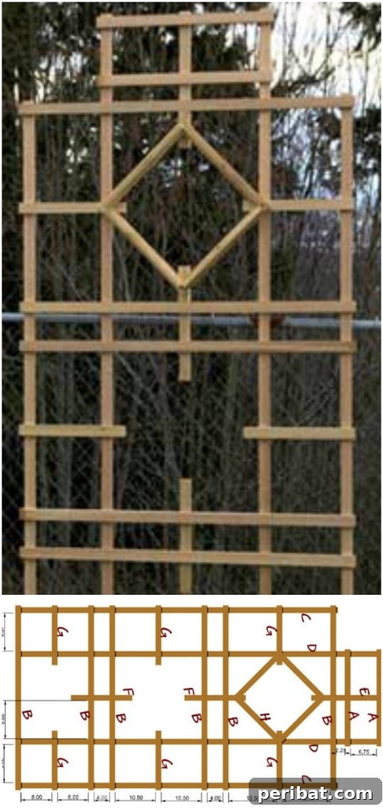 Creative DIY Trellises to Enhance Your Garden's Beauty and Support 20 Intricate Wooden Wall Trellis