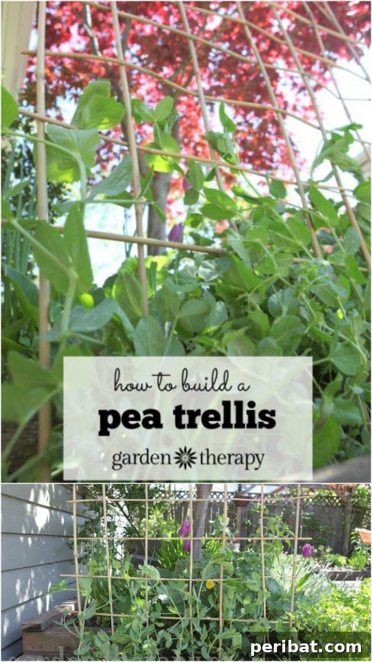 Creative DIY Trellises to Enhance Your Garden's Beauty and Support 3 DIY Bamboo Pole Pea Trellis