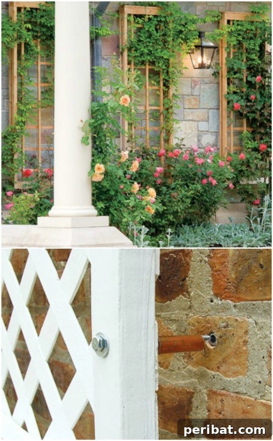 Creative DIY Trellises to Enhance Your Garden's Beauty and Support 21 DIY Wall Attached Trellis Panels