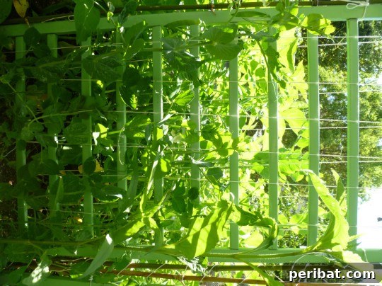 Creative DIY Trellises to Enhance Your Garden's Beauty and Support 5 Easy DIY Crib Rail Trellis