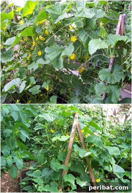 Creative DIY Trellises to Enhance Your Garden's Beauty and Support 8 Easy DIY A-Frame Trellis