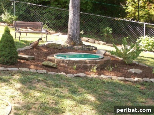 20 Genius Hacks for Repurposing Old Kiddie Pools 8 Repurposed Swimming Pool Duck Pond