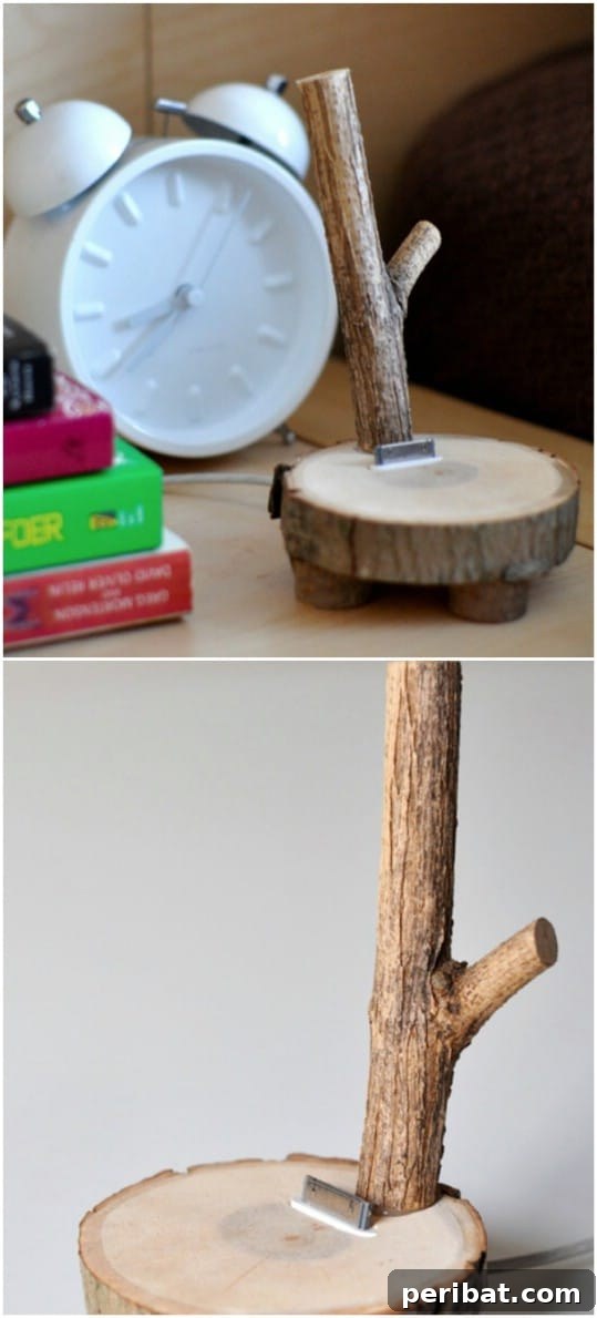25 Rugged DIY Gifts for Dad from Upcycled Treasures 17 Upcycled Tree Branch iPod Dock for Nature Lovers