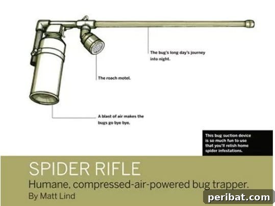 25 Rugged DIY Gifts for Dad from Upcycled Treasures 27 Easy DIY Spider Rifle for Humane Pest Removal