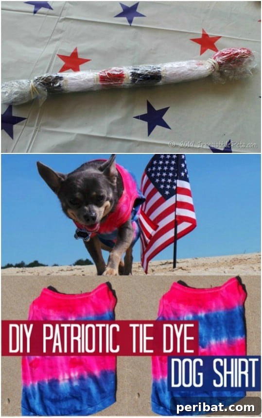 30 Red, White, and Blue Family Outfits for the Fourth of July 18 Patriotic Tie Dye Doggie Shirt