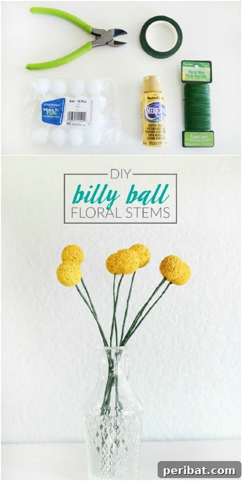 Billy Ball Floral Stems