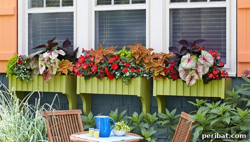 Easy DIY Window Boxes