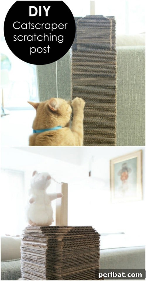 35 Ingenious Cardboard Box Upcycling Projects 15 Cardboard Cat Scratching Post