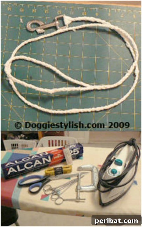 Beyond the Bin 30 Ingenious Upcycling Projects for Grocery Bags 17 Plastic Bag Dog Leash
