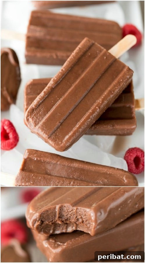 Easy Two Ingredient Fudge Pops