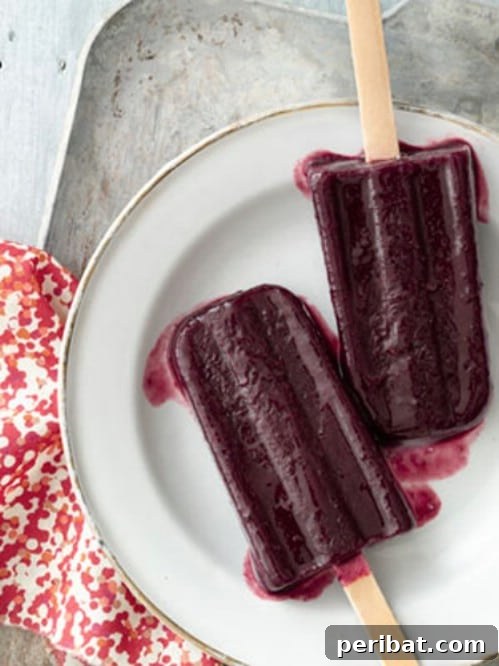 Delicious Blackberry Ice Pops
