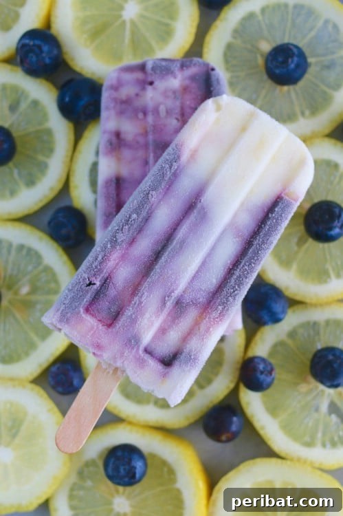 Blueberry Lemon Popsicles