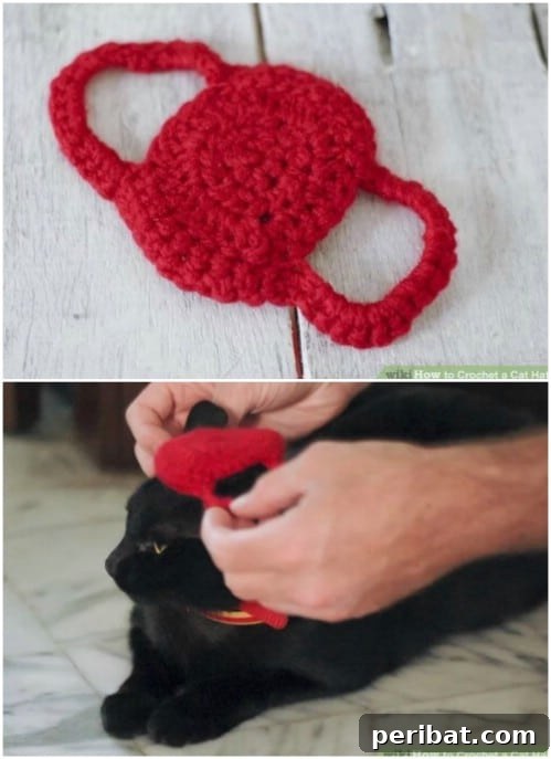 Hook, Line, & Purr: 25 Easy Crochet Projects for Cats 17 Easy Crochet Cat Hat