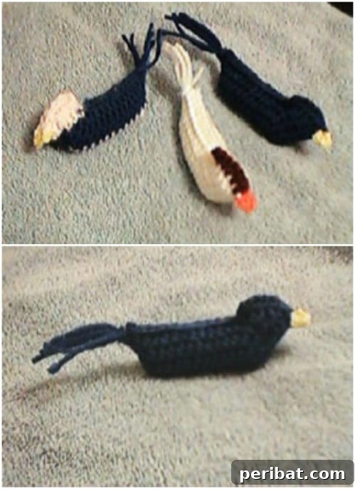 Hook, Line, & Purr: 25 Easy Crochet Projects for Cats 18 Crochet Catnip Chicken