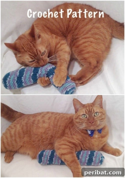 Hook, Line, & Purr: 25 Easy Crochet Projects for Cats 20 Easy Crochet Catnip Stick