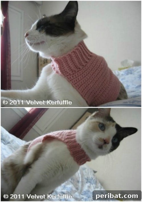 Hook, Line, & Purr: 25 Easy Crochet Projects for Cats 22 Mock Turtleneck Cat Sweater
