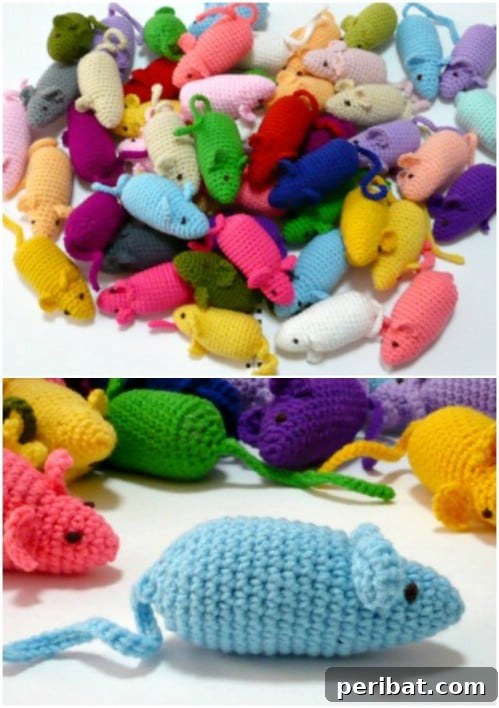 Hook, Line, & Purr: 25 Easy Crochet Projects for Cats 23 Crocheted Mouse With Catnip