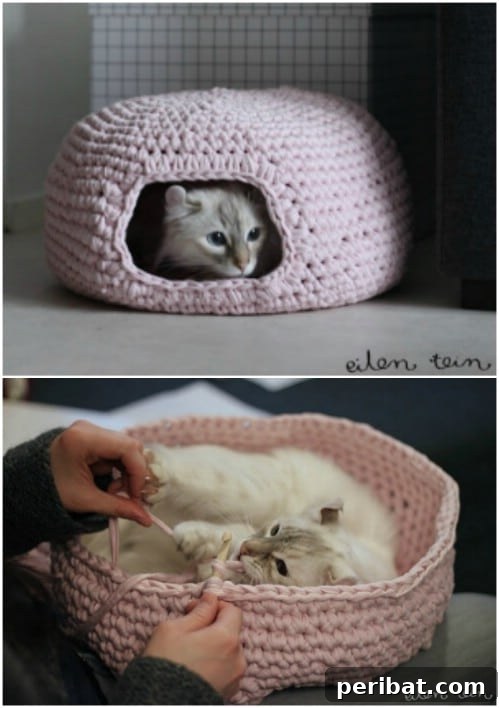Hook, Line, & Purr: 25 Easy Crochet Projects for Cats 24 Crochet Cat Nest